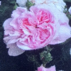 Badteppich Rosen 50×72 cm