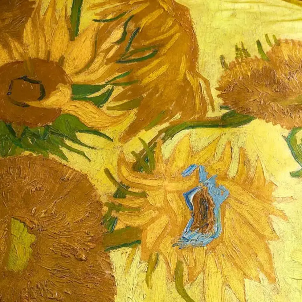 Beddinghouse Bettwäsche 135×200 cm Van Gogh Museum TOURNESOL YELLOW