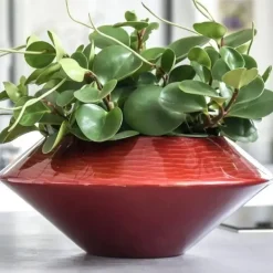 Dekoschale Annica Hochglanz rot gold 42 cm