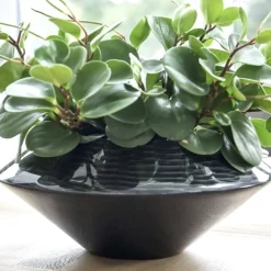 Dekoschale Annica Hochglanz schwarz silber D 42 cm