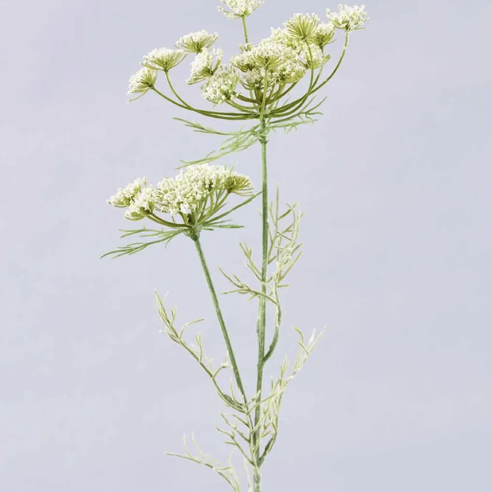 Dekozweig Wildblumen Natur Schierling Zweig 69 cm