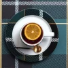 Dessertteller Porzellan ASA tartan petrol D 21 cm