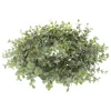 Eukalyptus Kranz Türkranz Enola Durchmesser 30 cm