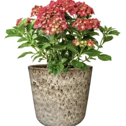 Keramik Blumentopf 3er Set Freya beige