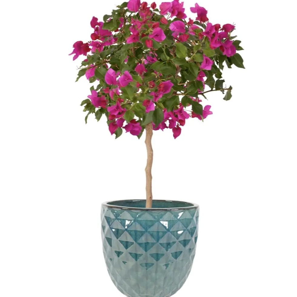 Keramik Blumentopf Felix türkis 4er Set