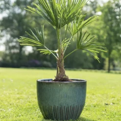 Keramik Blumentopf ocean Dyon 3er Set