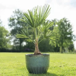 Keramik Blumentopf ocean Dyon 3er Set