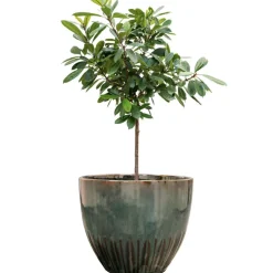 Keramik Blumentopf ocean Dyon 3er Set