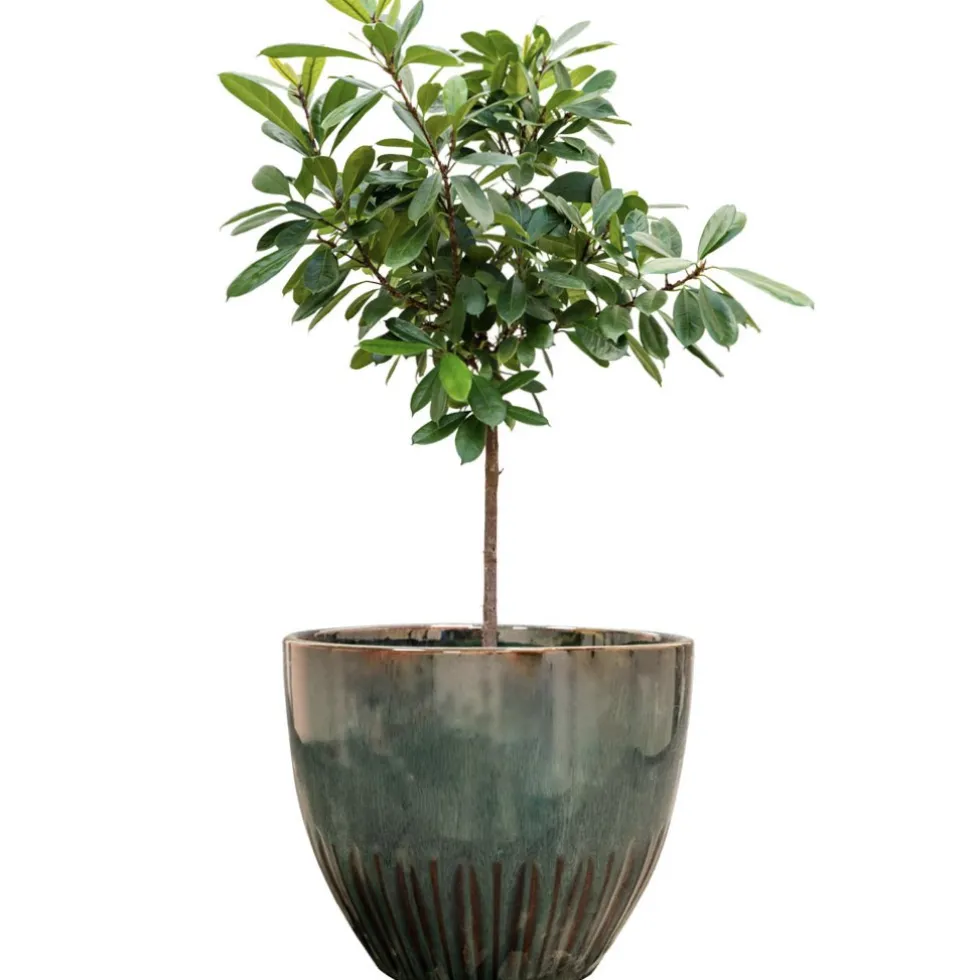 Keramik Blumentopf ocean Dyon 3er Set