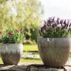 Keramik Blumentopf purple Dyon 3er Set