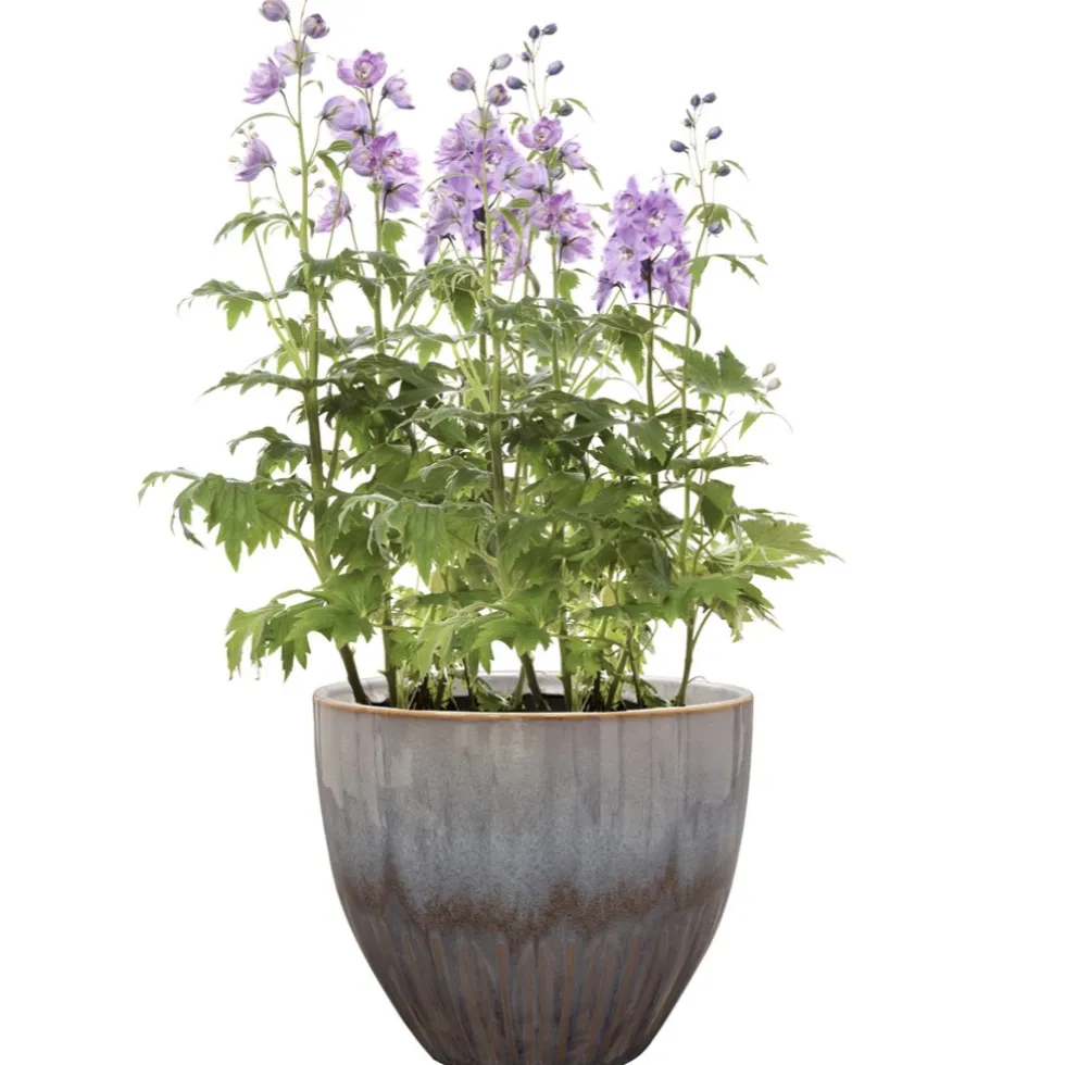 Keramik Blumentopf purple Dyon 3er Set