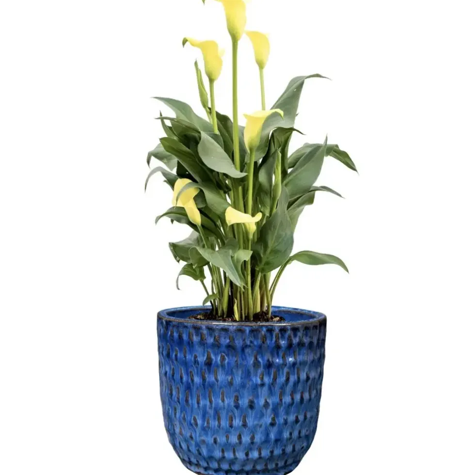 Keramik Pflanzkübel blau 4er Set Sveya