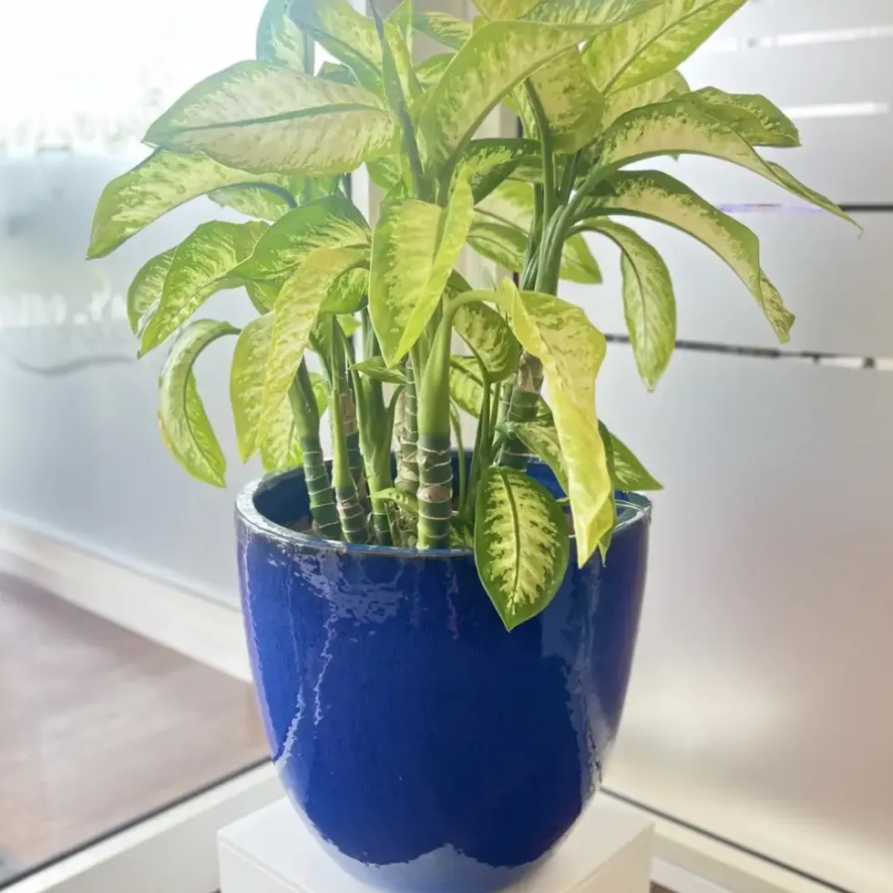 Keramik Pflanzkübel blau 4er Set