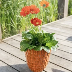 Keramik Pflanzkübel outdoor Chase orange 3er Set