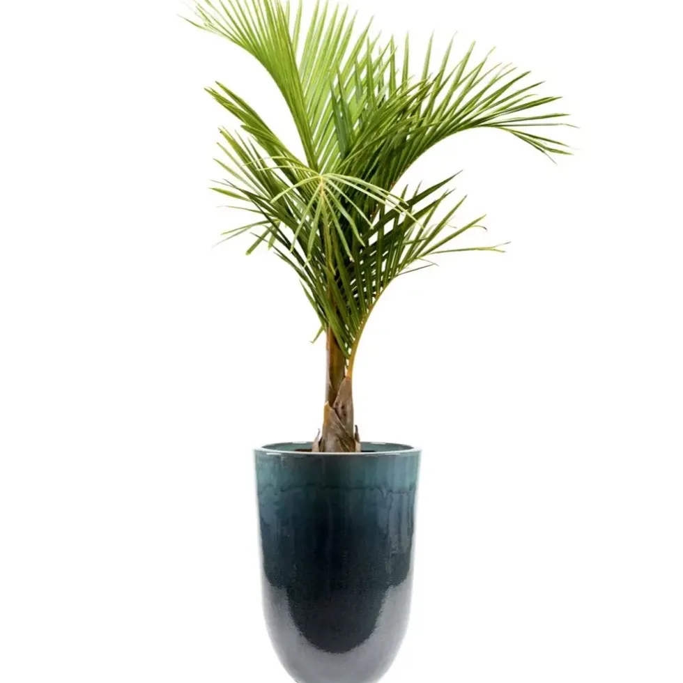 Keramik Pflanzkübel XXL outdoor Pure blau
