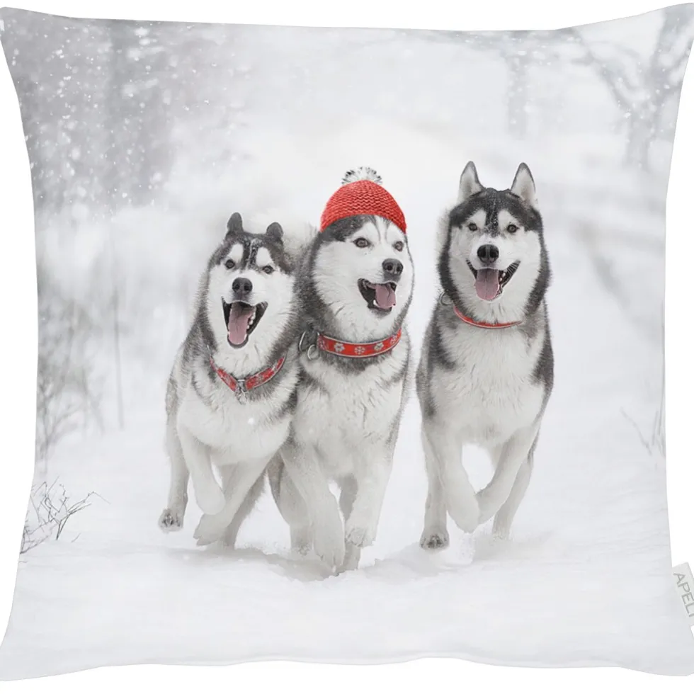 Kissenhülle von Apelt Winter 3701 Husky 46×46 cm
