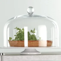 Kuchenglocke Glas ASA Selection groß D 32 cm