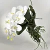 Kunstblume Kunstpflanze Orchidee zum Hängen Avatar Höhe 29 cm