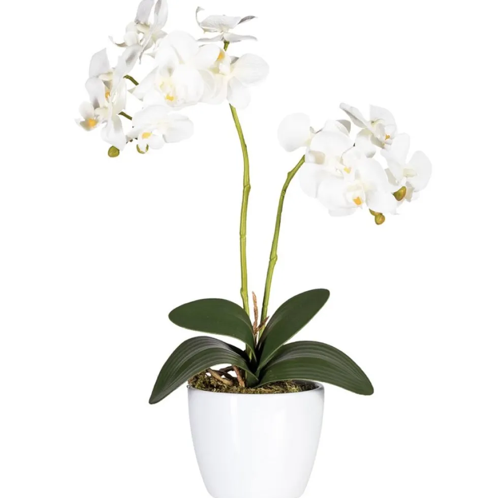 Kunstblume Kunstpflanze Orchidee im Topf Höhe 45 cm