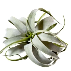 Kunstblume Kunstpflanze Tillandsia Pick