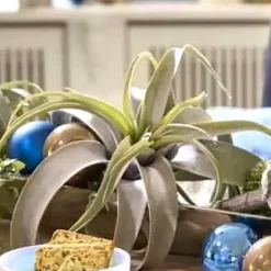 Kunstblume Kunstpflanze Tillandsia Pick