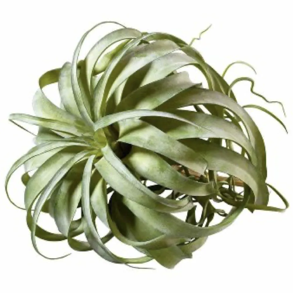 Kunstblume Kunstpflanze Tillandsia Pick