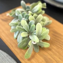 Kunstblume Mistelzweig Hänger befrostet Werner Voß Höhe 25 cm