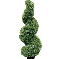 Kunstpflanze getopft Buchsbaum Twist