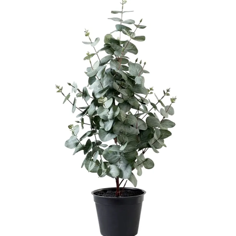 Kunstpflanze wie echt Eukalyptus im Topf
