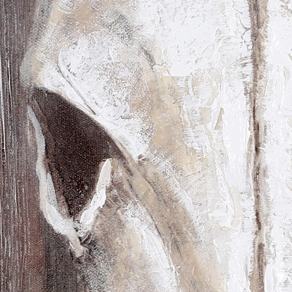 Leinwandbild Büffel 100×100 cm