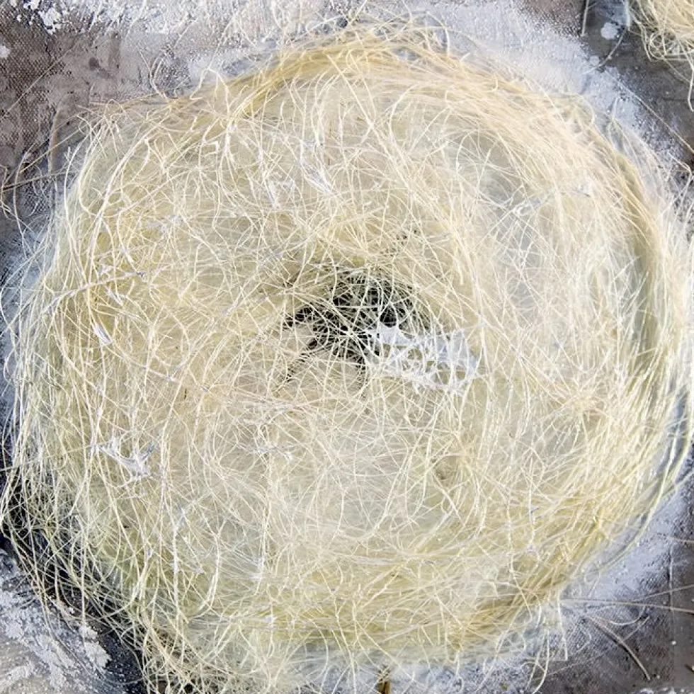 Leinwandbild Dandelion 100×100 cm