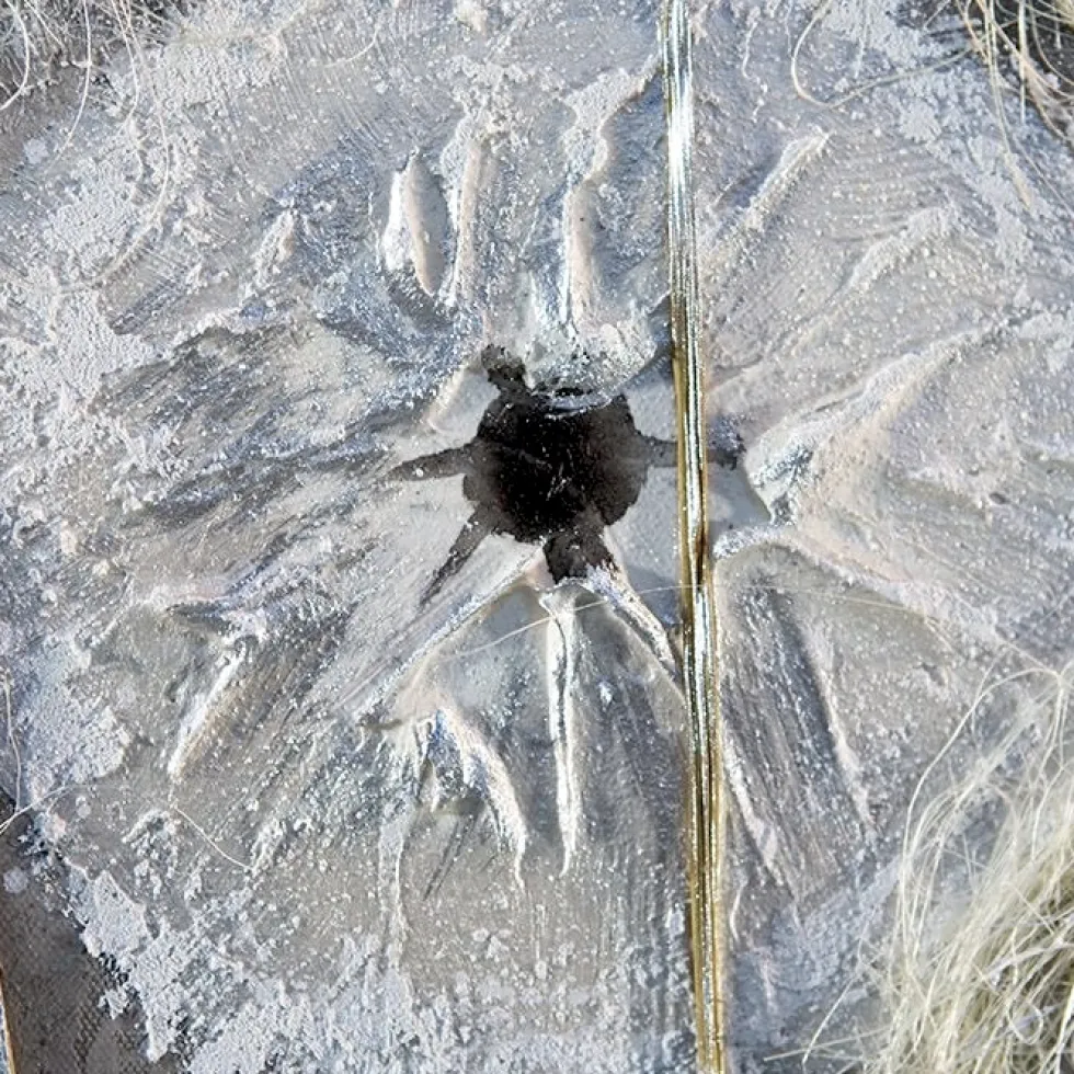 Leinwandbild Dandelion 100×100 cm