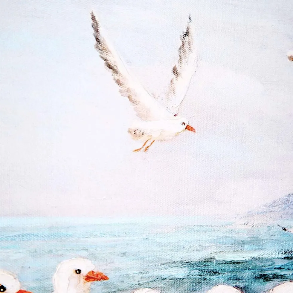 Leinwandbild Seaside Möwen 60×60 cm