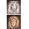 Leinwandbild 2-teilig Wildlife 40×40 cm