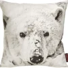 Magma Kissen WILDERNESS POLARBÄR 40×40 cm