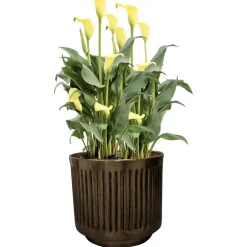 Metall Pflanzkübel XXL outdoor 4er Set Elna gold