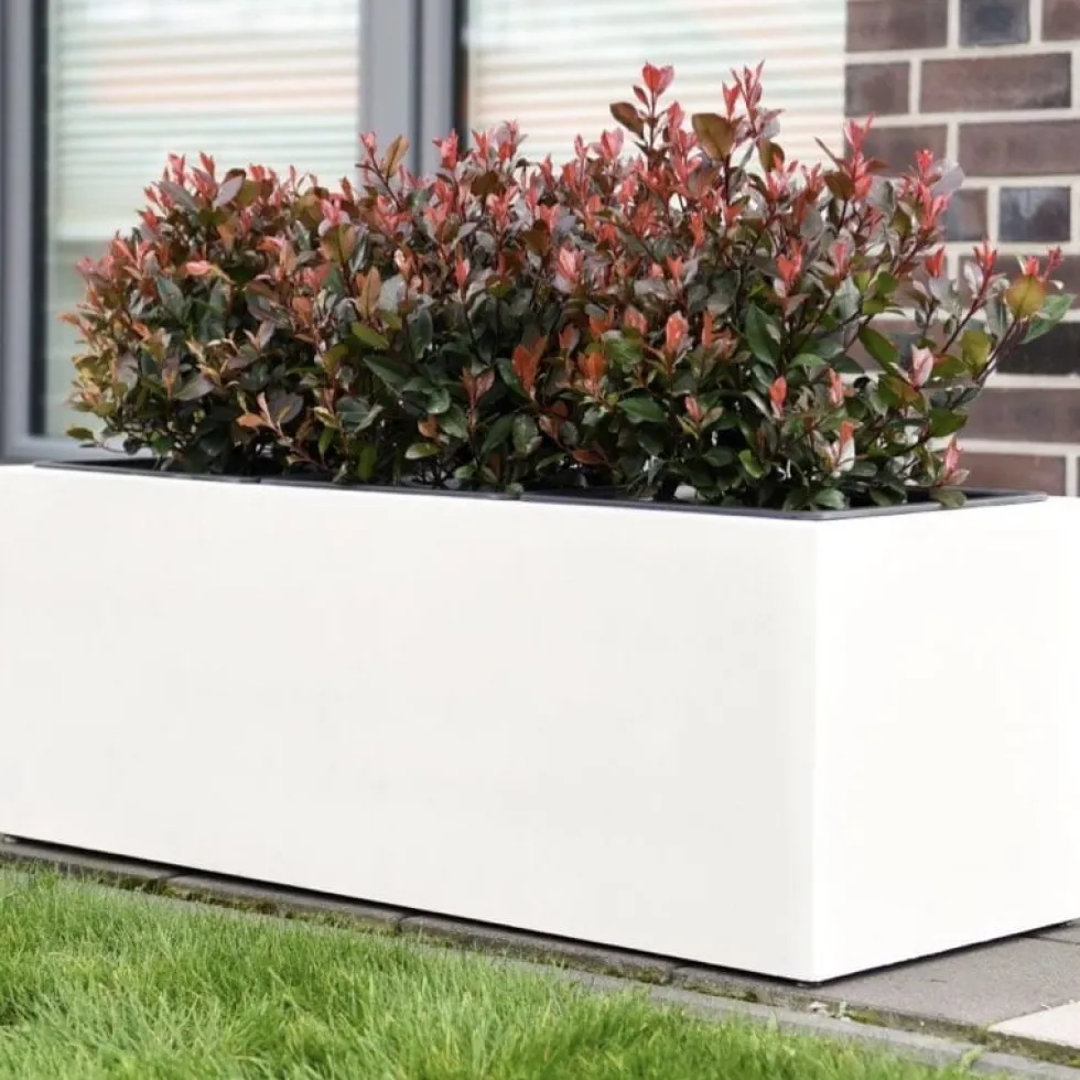 Pflanzkübel Carlotta creme 77×29 cm