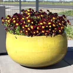 Pflanzschale Keramik rund gelb Durchmesser 44 cm