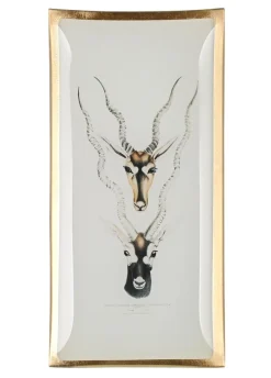 Schmuckschale aus Glas Antilopenköpfe GiftCompany 10×21 cm