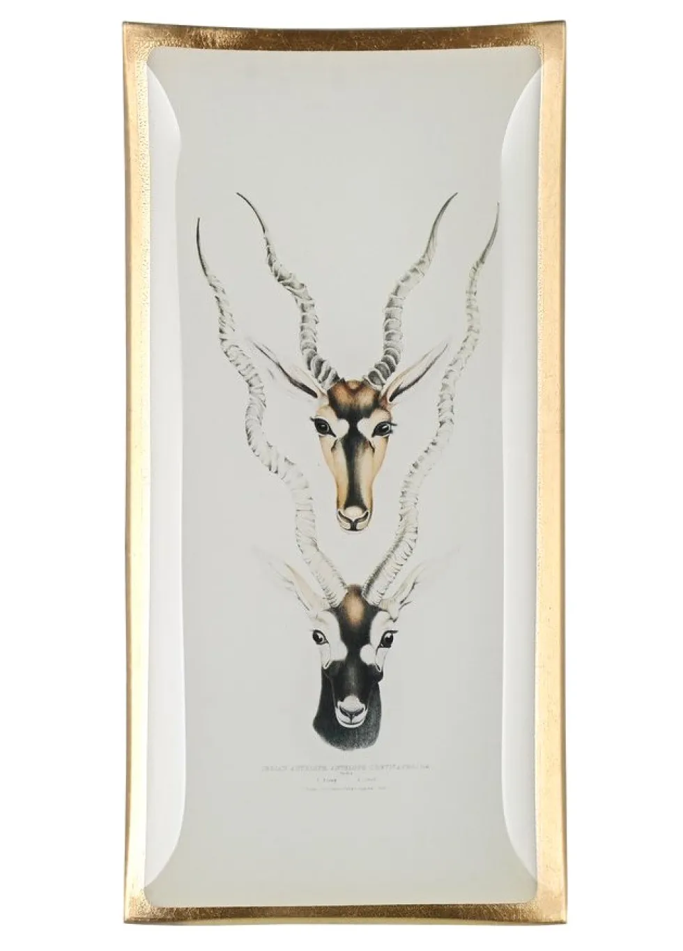 Schmuckschale aus Glas Antilopenköpfe GiftCompany 10×21 cm
