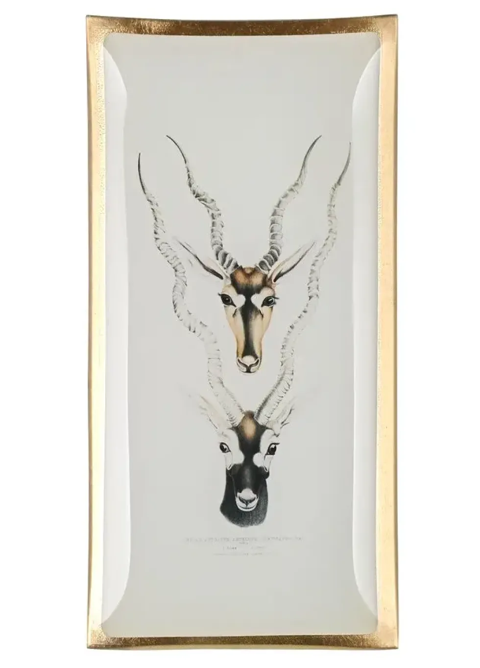 Schmuckschale aus Glas Antilopenköpfe GiftCompany 10×21 cm