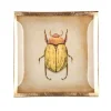 Schmuckschale Schmuckteller aus Glas Käfer GiftCompany 10×10 cm