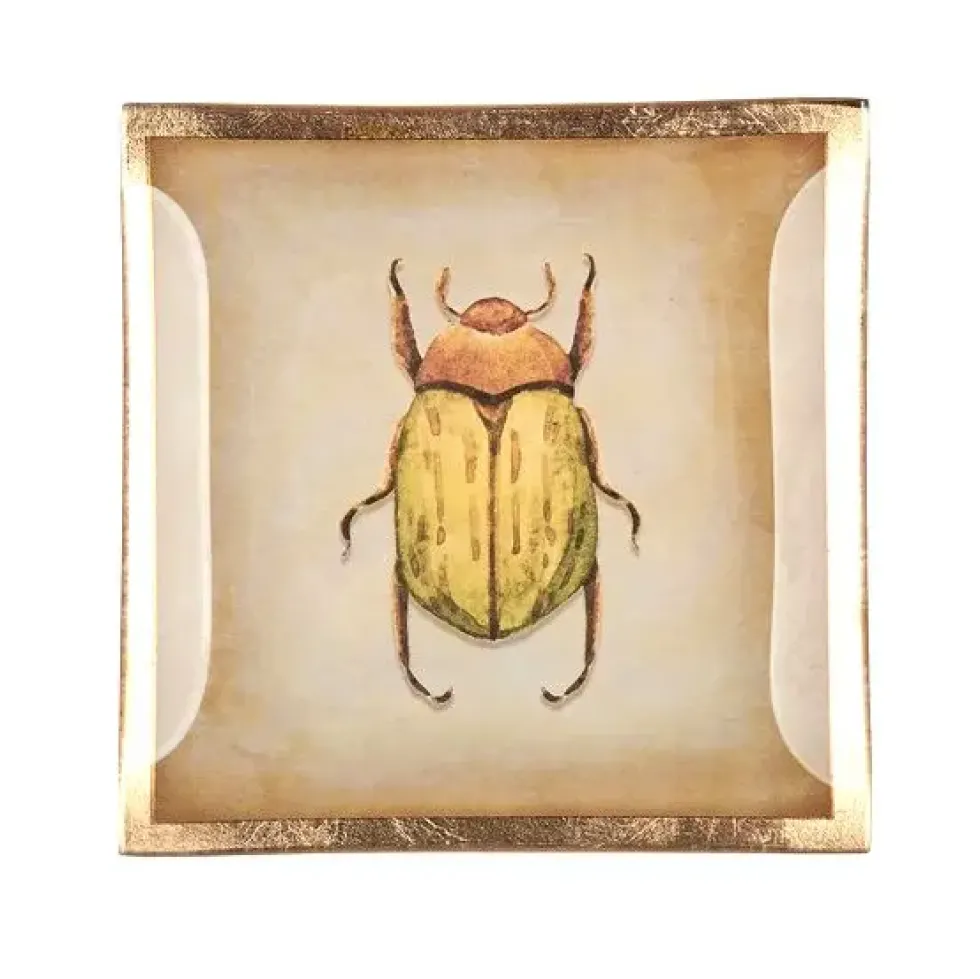 Schmuckschale Schmuckteller aus Glas Käfer GiftCompany 10×10 cm