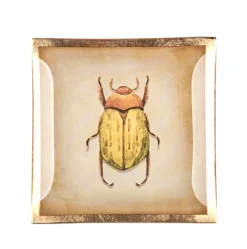 Schmuckschale Schmuckteller aus Glas Käfer GiftCompany 10×10 cm