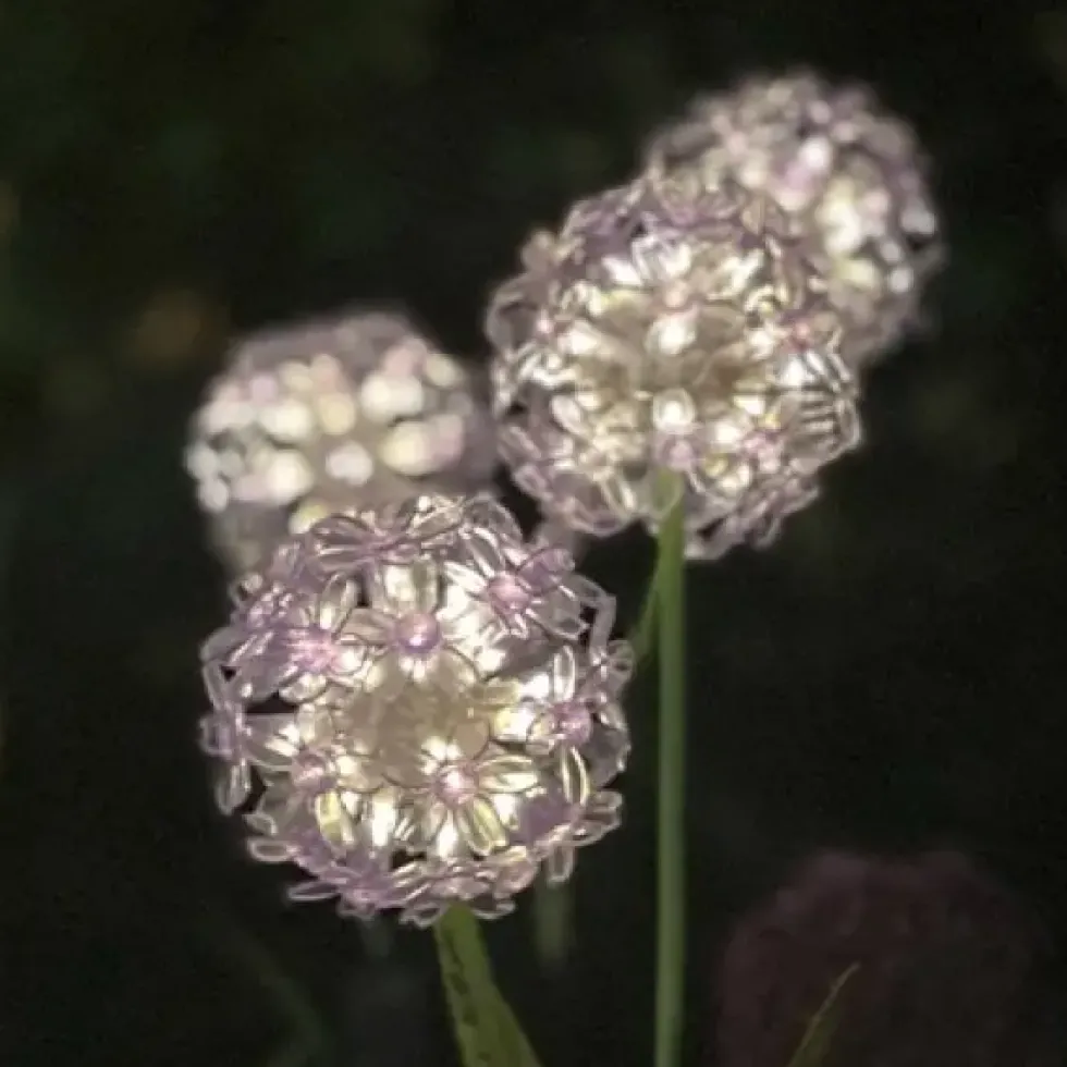 Solar Gartenstecker Allium weiß Höhe 70 cm