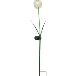 Solar Gartenstecker Allium weiß Höhe 70 cm