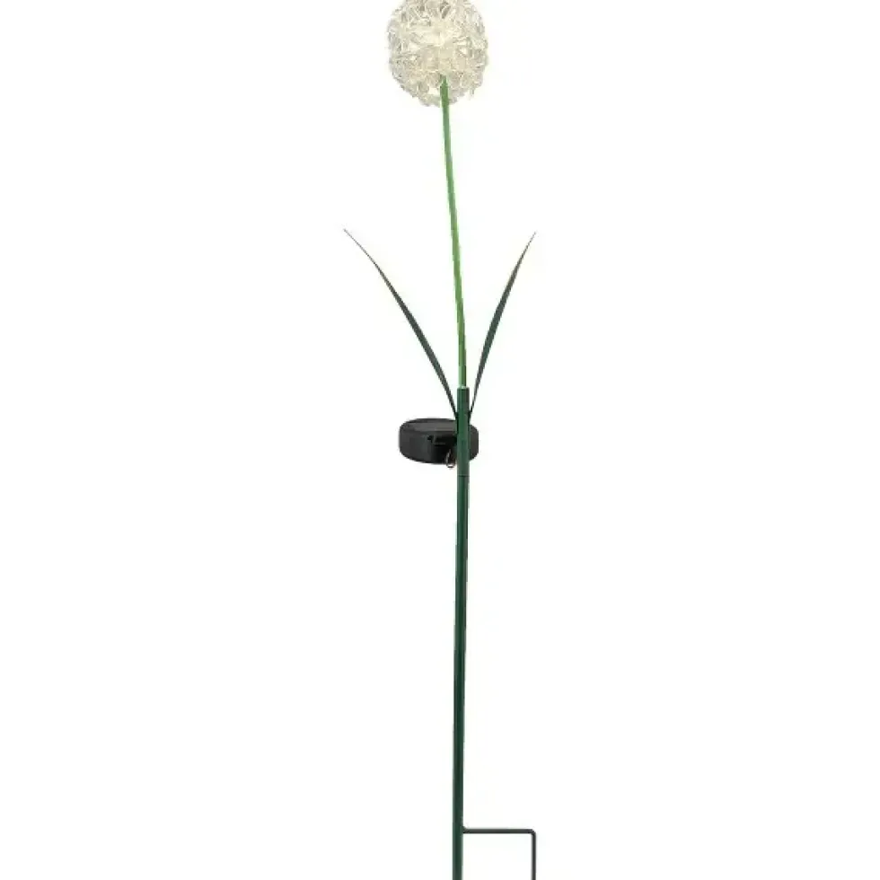 Solar Gartenstecker Allium weiß Höhe 70 cm
