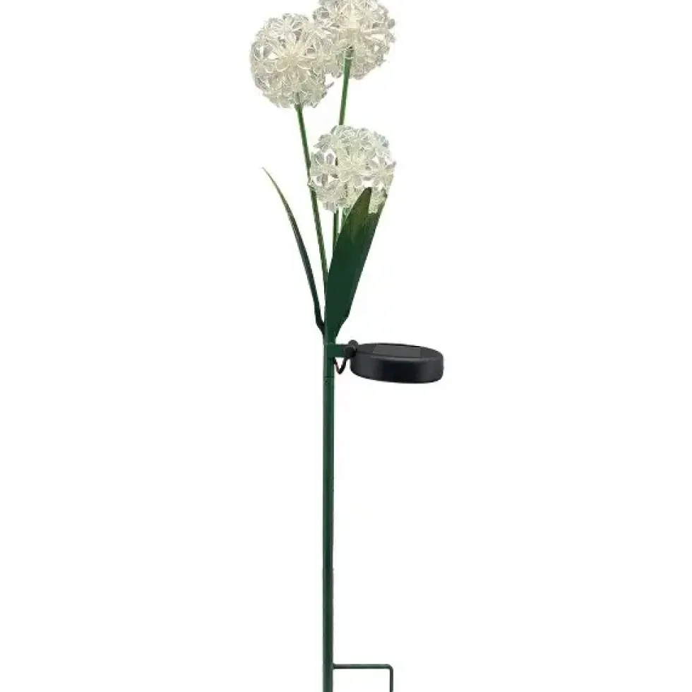Solar Gartenstecker Allium weiß Höhe 70 cm