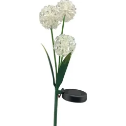 Solar Gartenstecker Allium weiß Höhe 70 cm