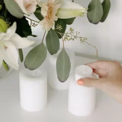 Teelicht transparent Edzard 50 Stück